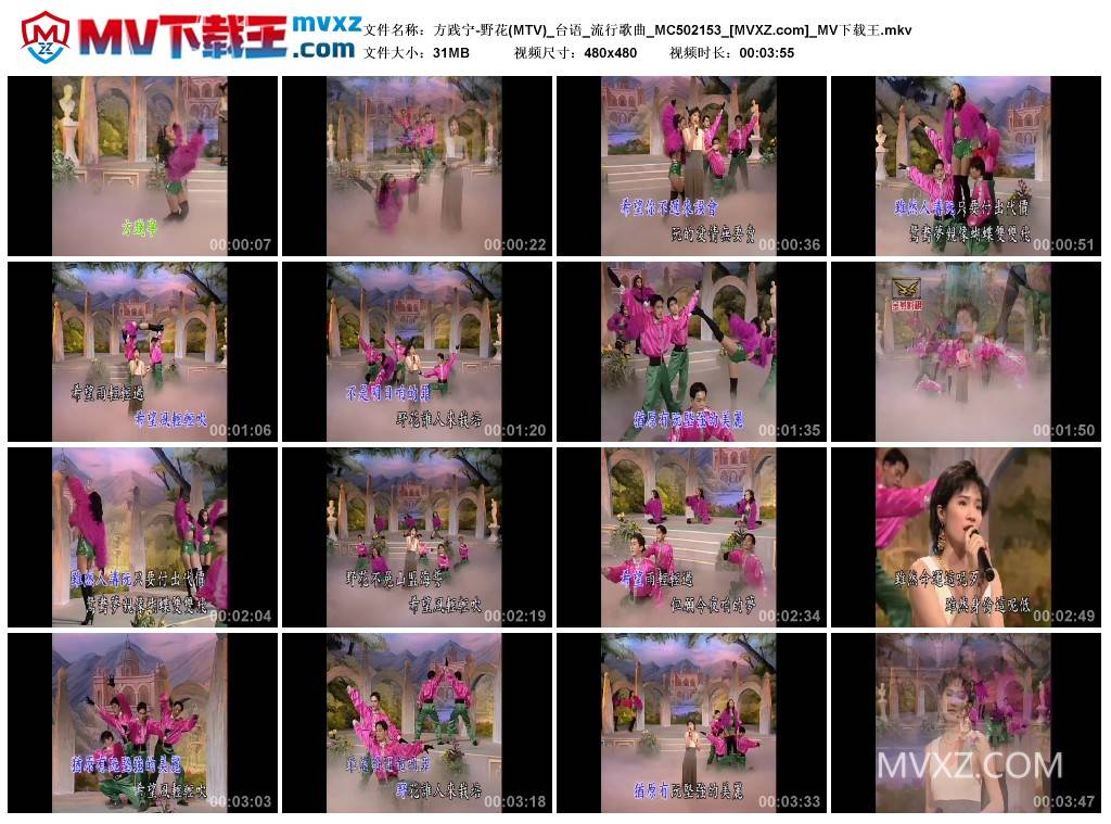 方践宁-野花(MTV)_台语_流行歌曲_MC502153
